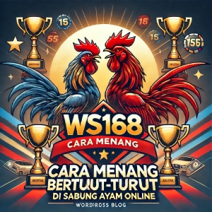 WS168: Cara Menang Berturut-turut di Sabung Ayam Online